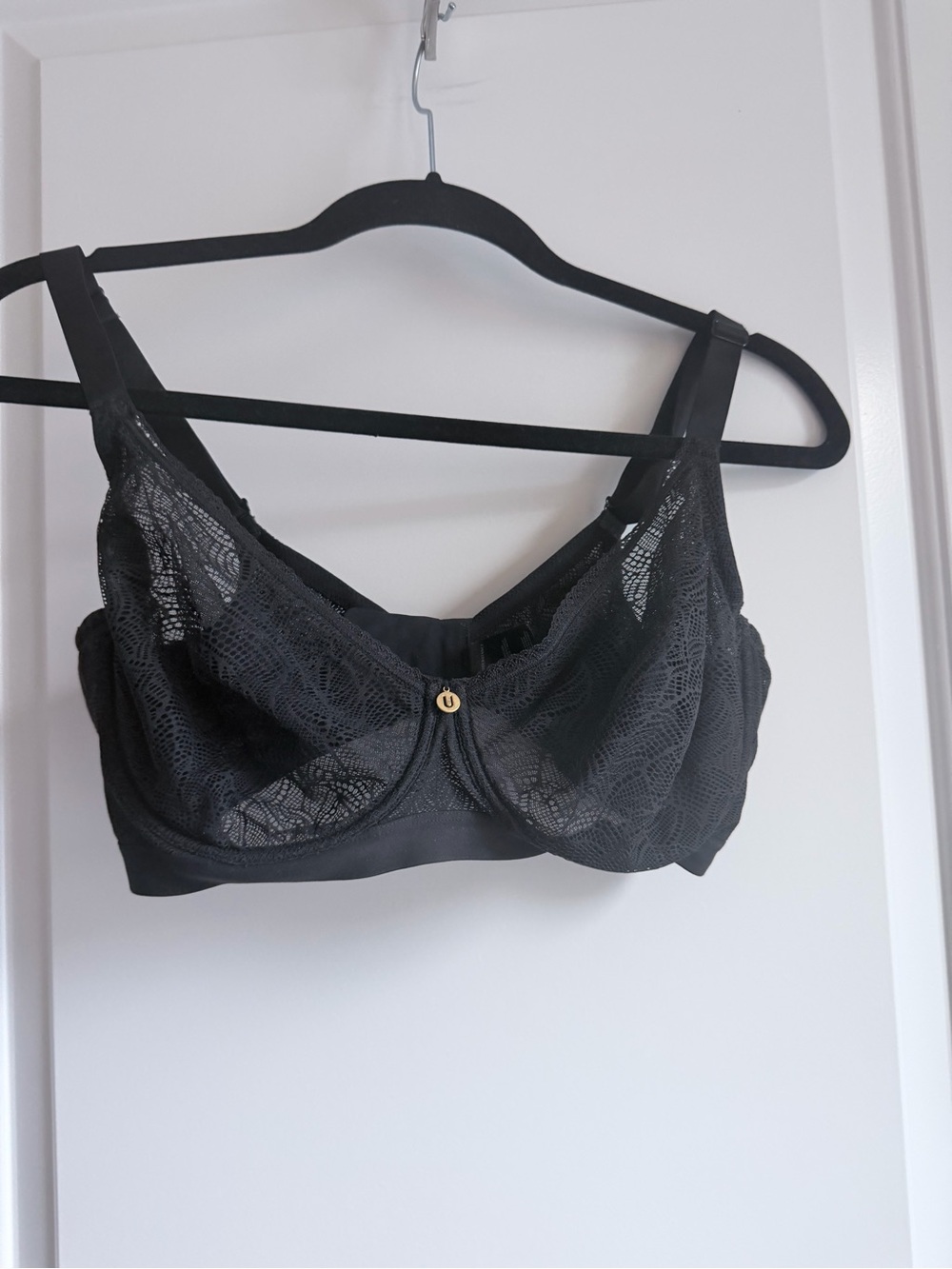 Understance Black Lace Underwire Bra with Sheer Cups